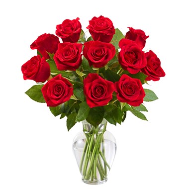 12_rose_red_only_greens